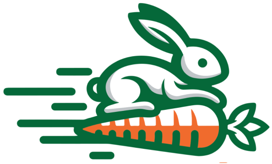 RabbiRoots Logo
